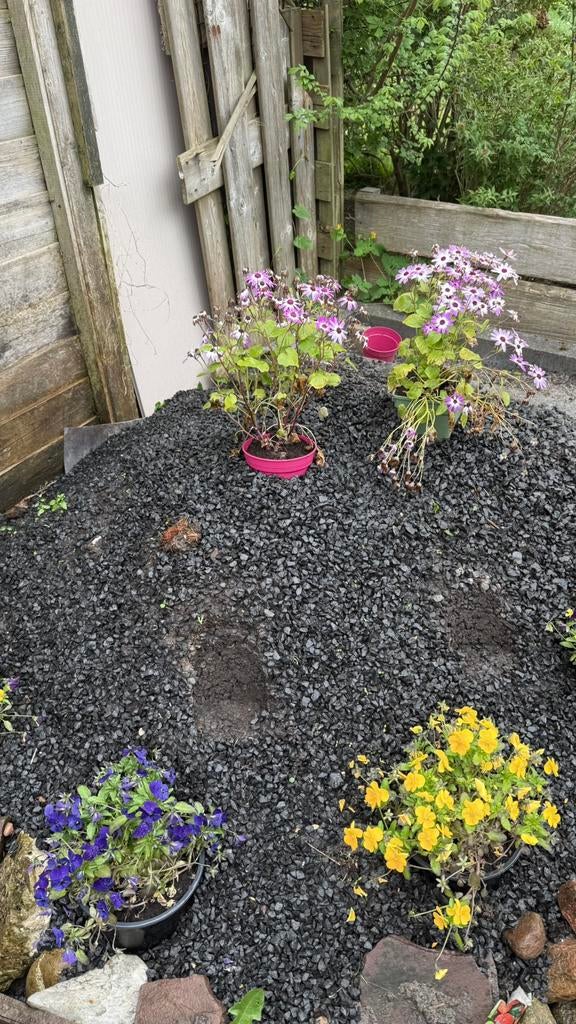siergrind, Tuin en Terras, Ophalen, Gebruikt, Zwart, Grind