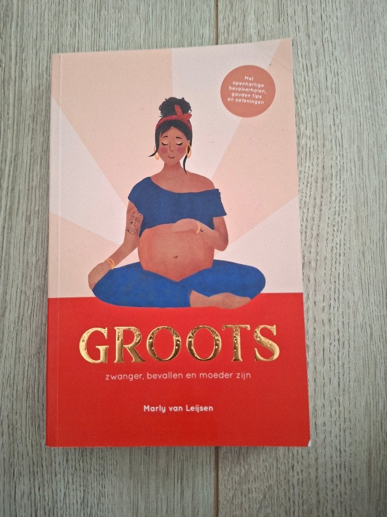 Zwangerschapsboek Groots, Boeken, Marly van Leijsen, Zwangerschap en Bevalling, Ophalen of Verzenden, Zo goed als nieuw