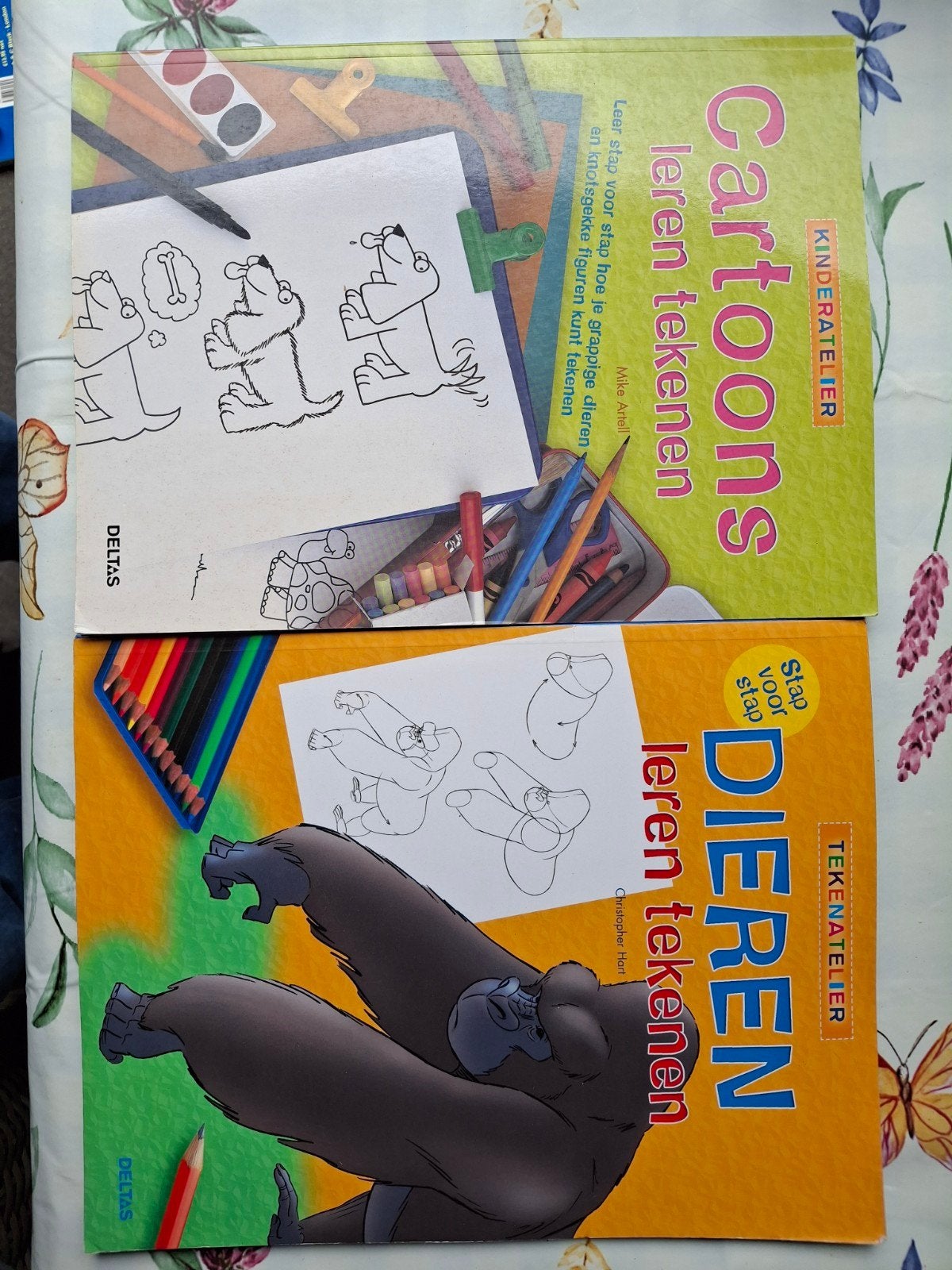 2x Tekenboeken: Cartoons & Dieren leren tekenen, Ophalen of Verzenden, Zo goed als nieuw, Mike Allan, Christophe Hori, 3 tot 4 jaar