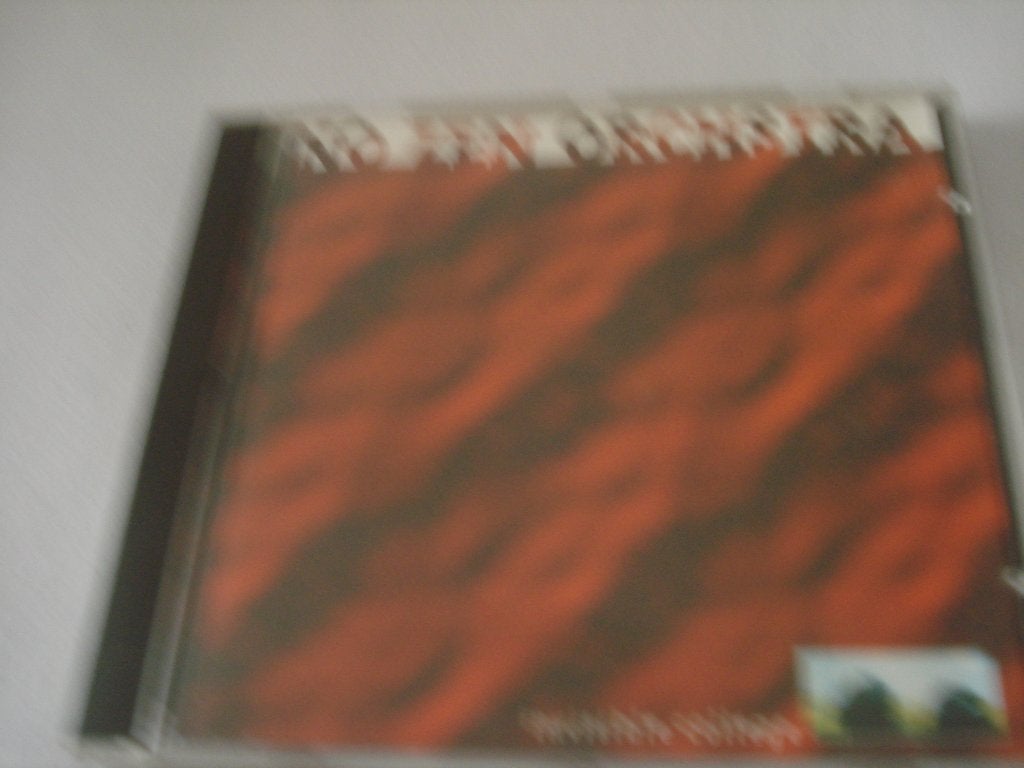 NO ZEN ORCHSTRA - INVISIBLE COLLEGE psych rock ,experiment, Cd's en Dvd's, Cd's | Rock, Ophalen of Verzenden, Zo goed als nieuw