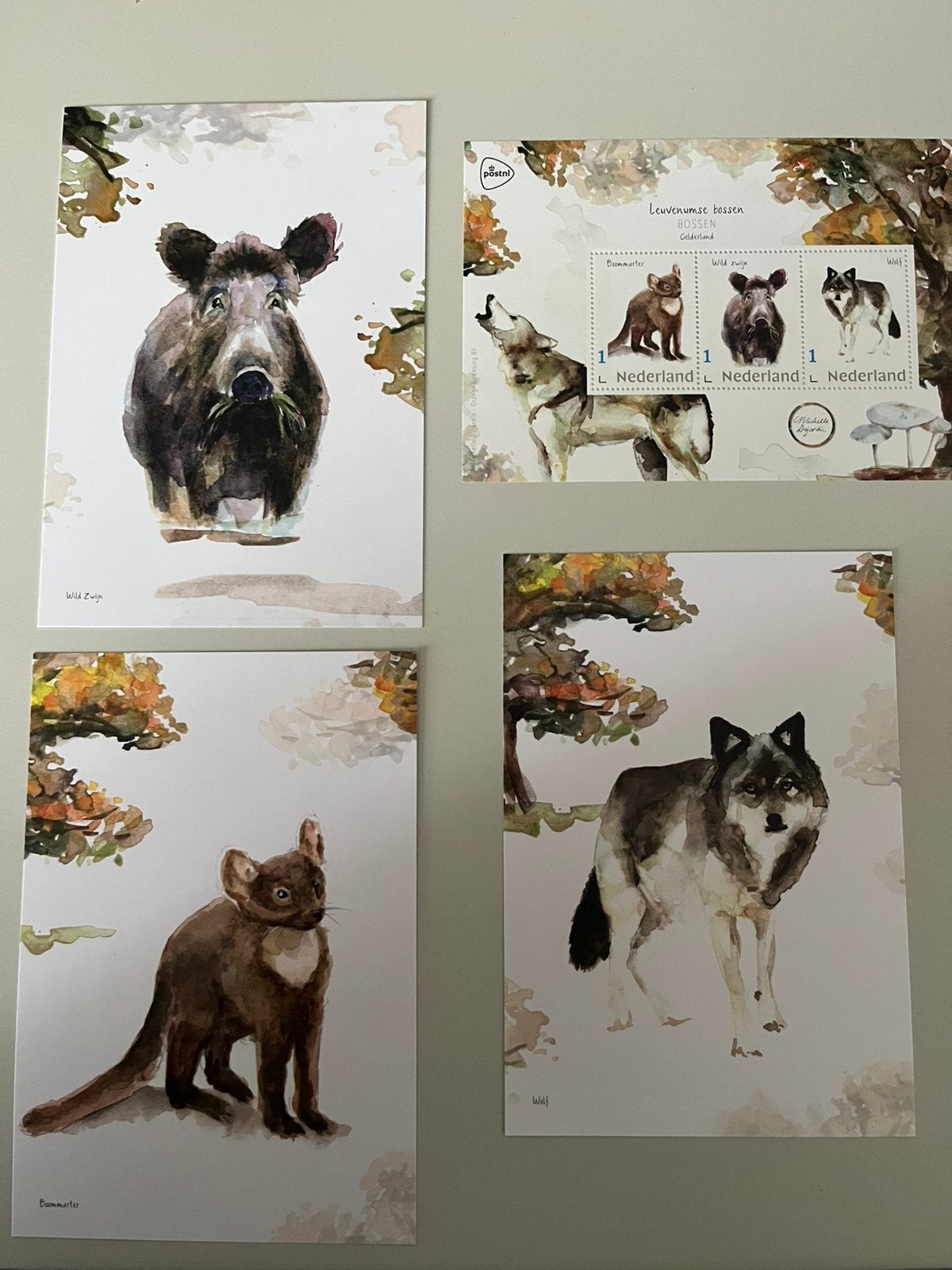Postzegelvel en 3 Ansichtkaarten met Wilde Dieren, Ophalen of Verzenden, Na 1940, Postfris