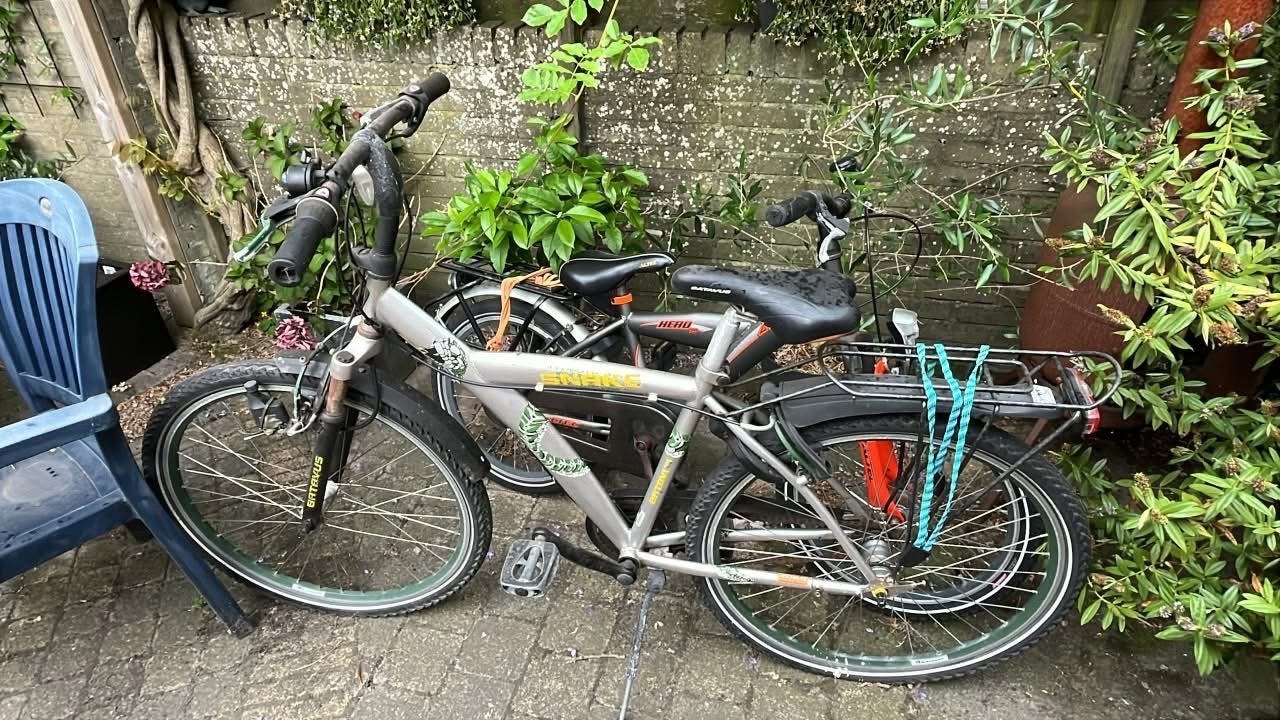 Batavus Snake kinderfiets - Opknapper, Ophalen, Gebruikt, Batavus