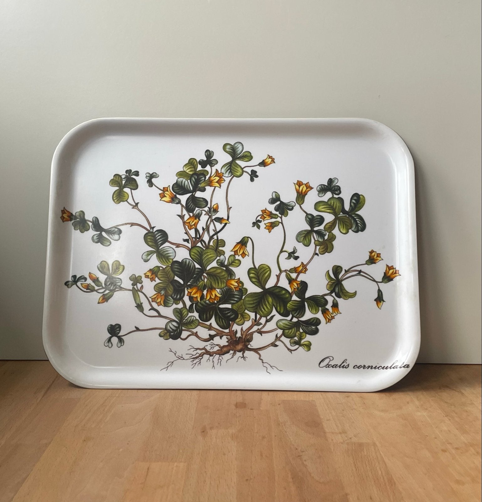 Villeroy & Boch Botanica Dienblad Oxalis Corniculata, Overige materialen, Gebruikt, Ophalen of Verzenden, Dienblad