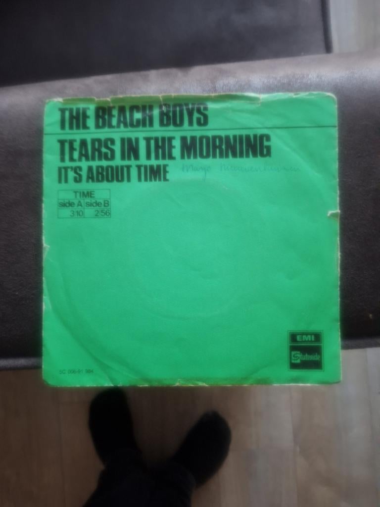 The beach boys, Ophalen of Verzenden, Gebruikt, Pop