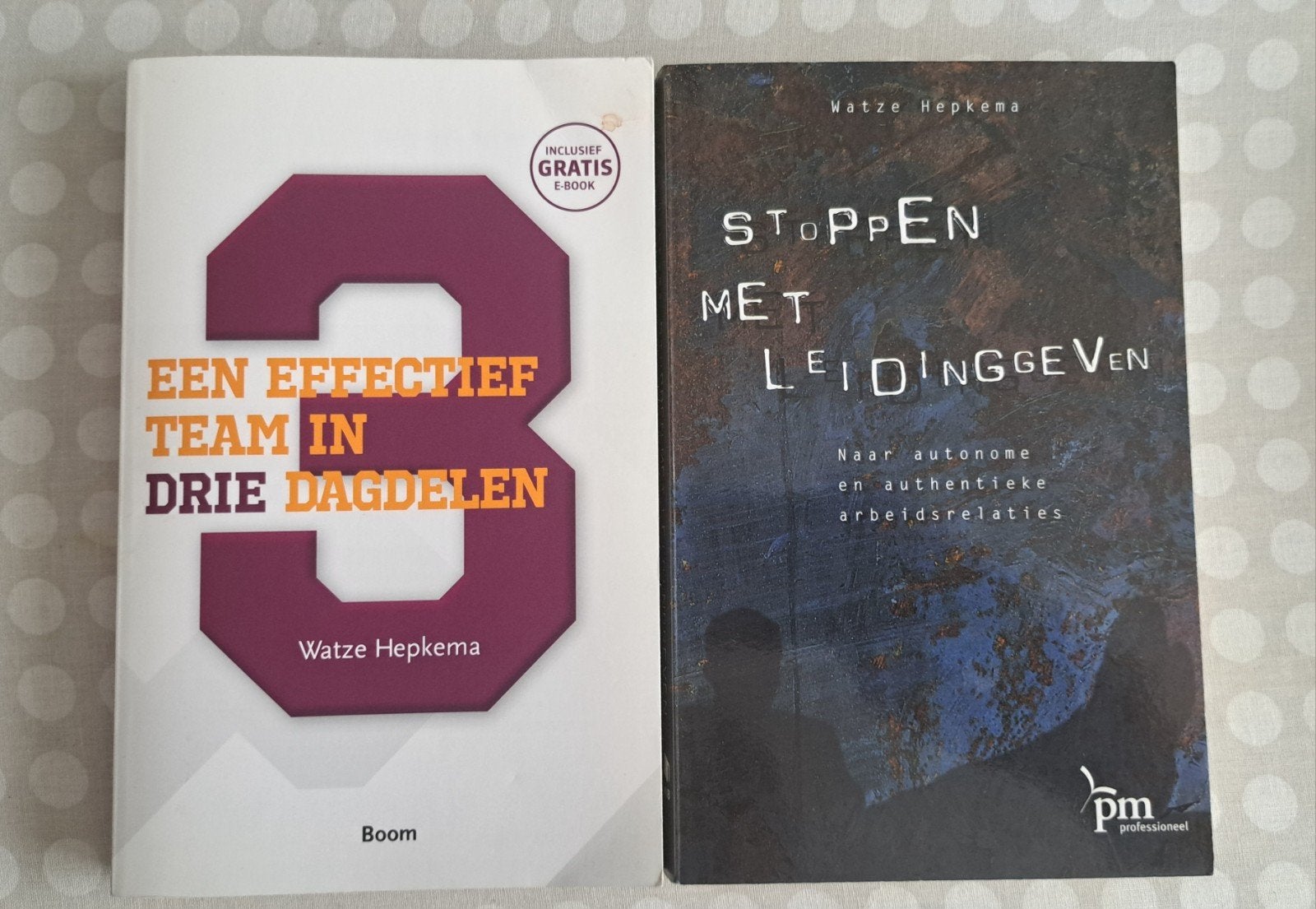2 boeken van Watze Hepkema: Leiderschap & Teambuilding, Ophalen of Verzenden