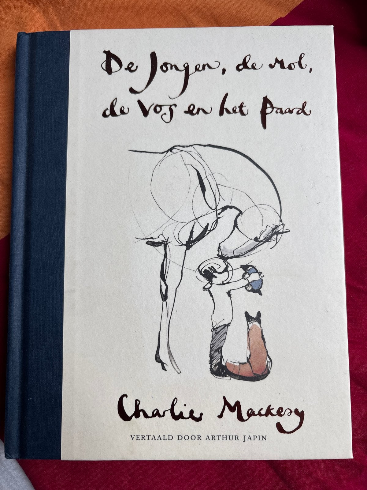 De Jongen, de Mol, de Vos en het Paard - Charlie Mackesy, Boeken, Ophalen of Verzenden, Zo goed als nieuw