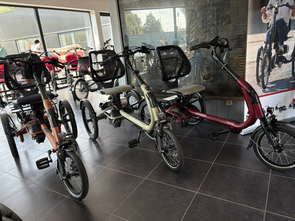 Easy riders Van Raam met motor alle modellen en garantie, Ophalen, Easy rider van raam, Staal, Overige typen