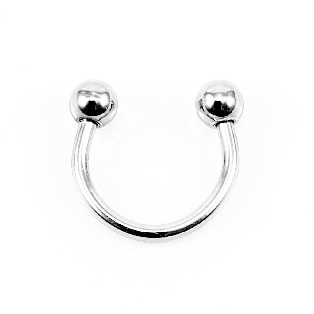 8mm x 1mm Hoefijzer - Stalen Piercing Neus in Zilverkleur, Staal, Birgitta-Gracht 33, 6465 EL Kerkrade, Nederland, Verzenden, Nieuw