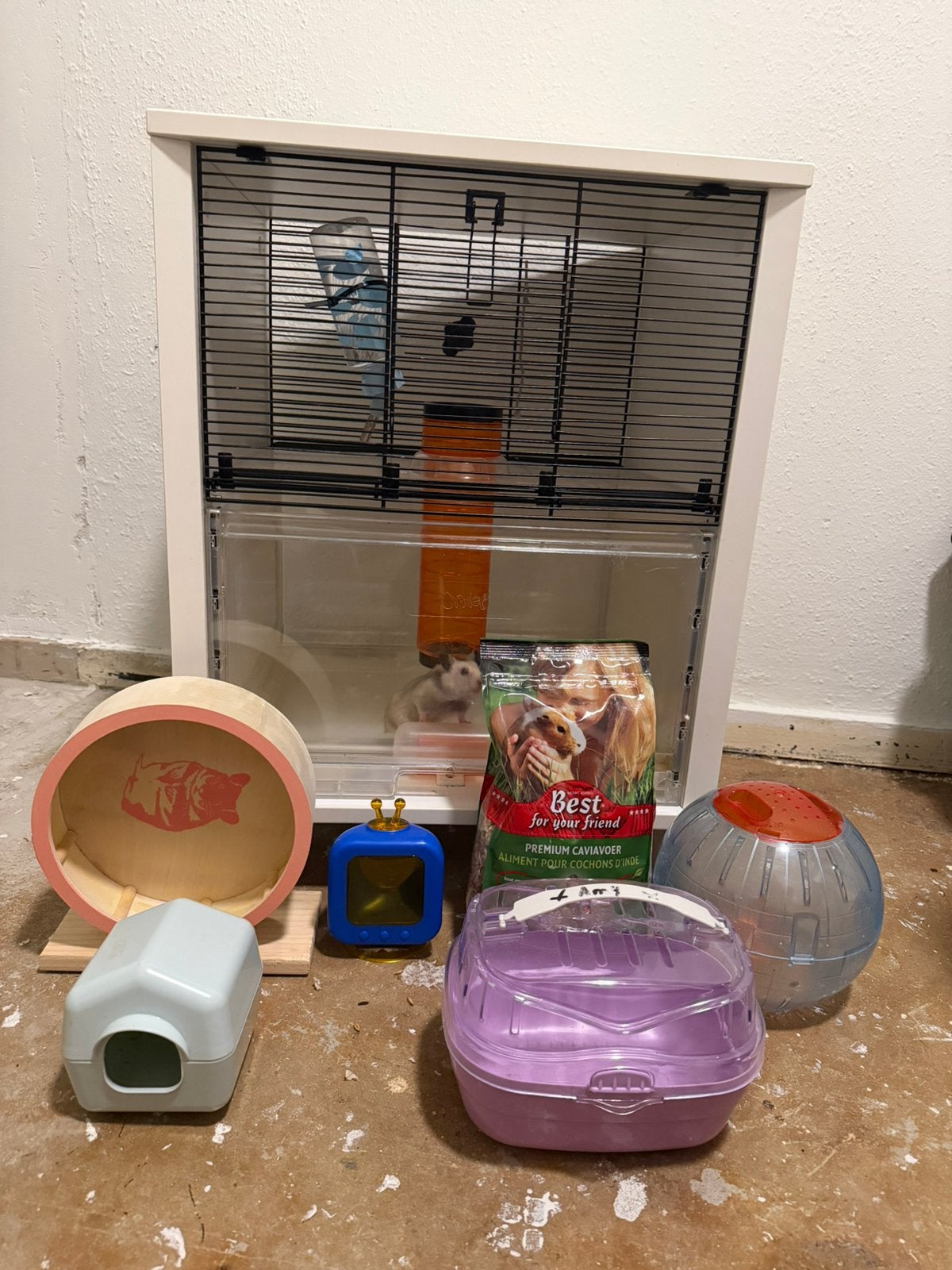 Knaagdier kooi en hamster, Dieren en Toebehoren, Hamster, Geslacht onbekend, Mei, Tam