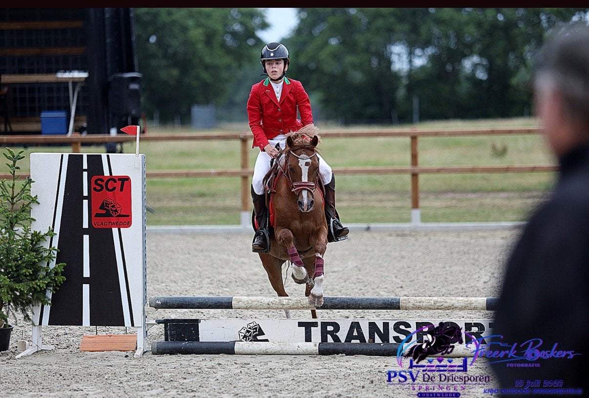 Gouden C pony te koop!, Dieren en Toebehoren, Merrie