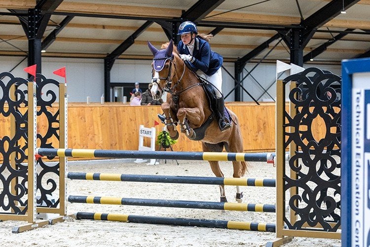 Super betrouwbare E-pony Bailey te koop 

Met pijn in o, Dieren en Toebehoren, 11 jaar of ouder, Merrie, E pony (1.48m - 1.57m)