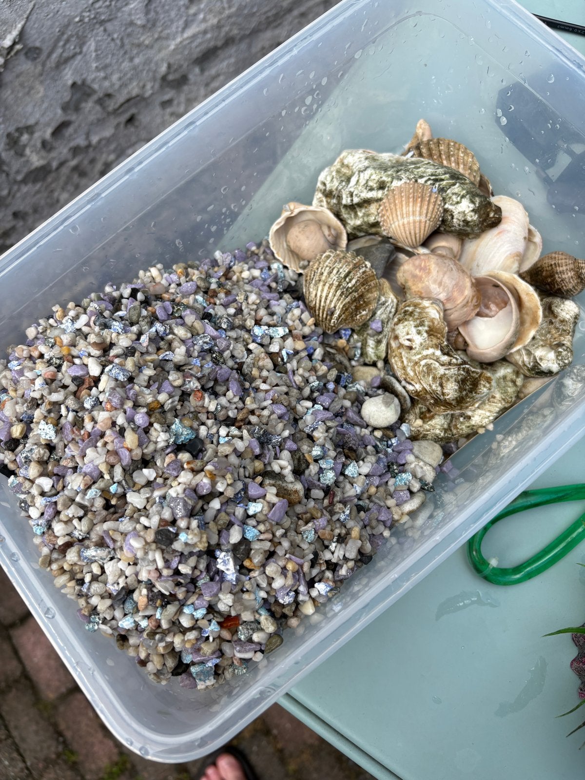 Aquarium 60cm breed, Ophalen, Gebruikt, Leeg aquarium