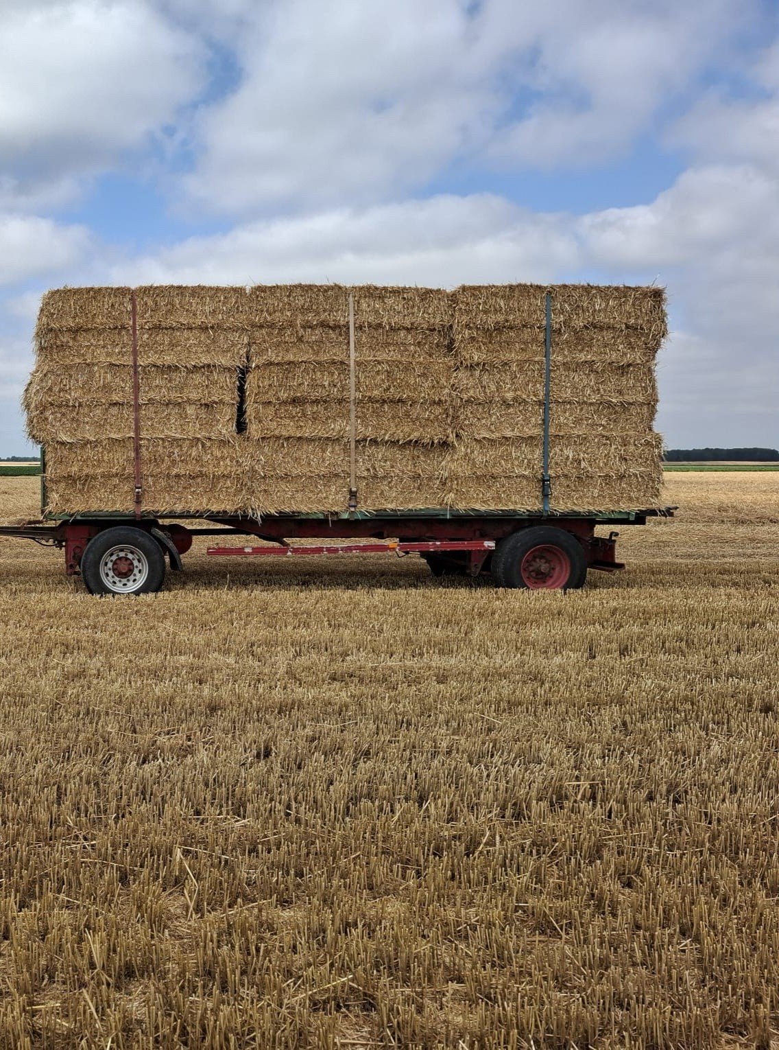 Te Koop: Tarwestro, gerste stro en graszaad hooi