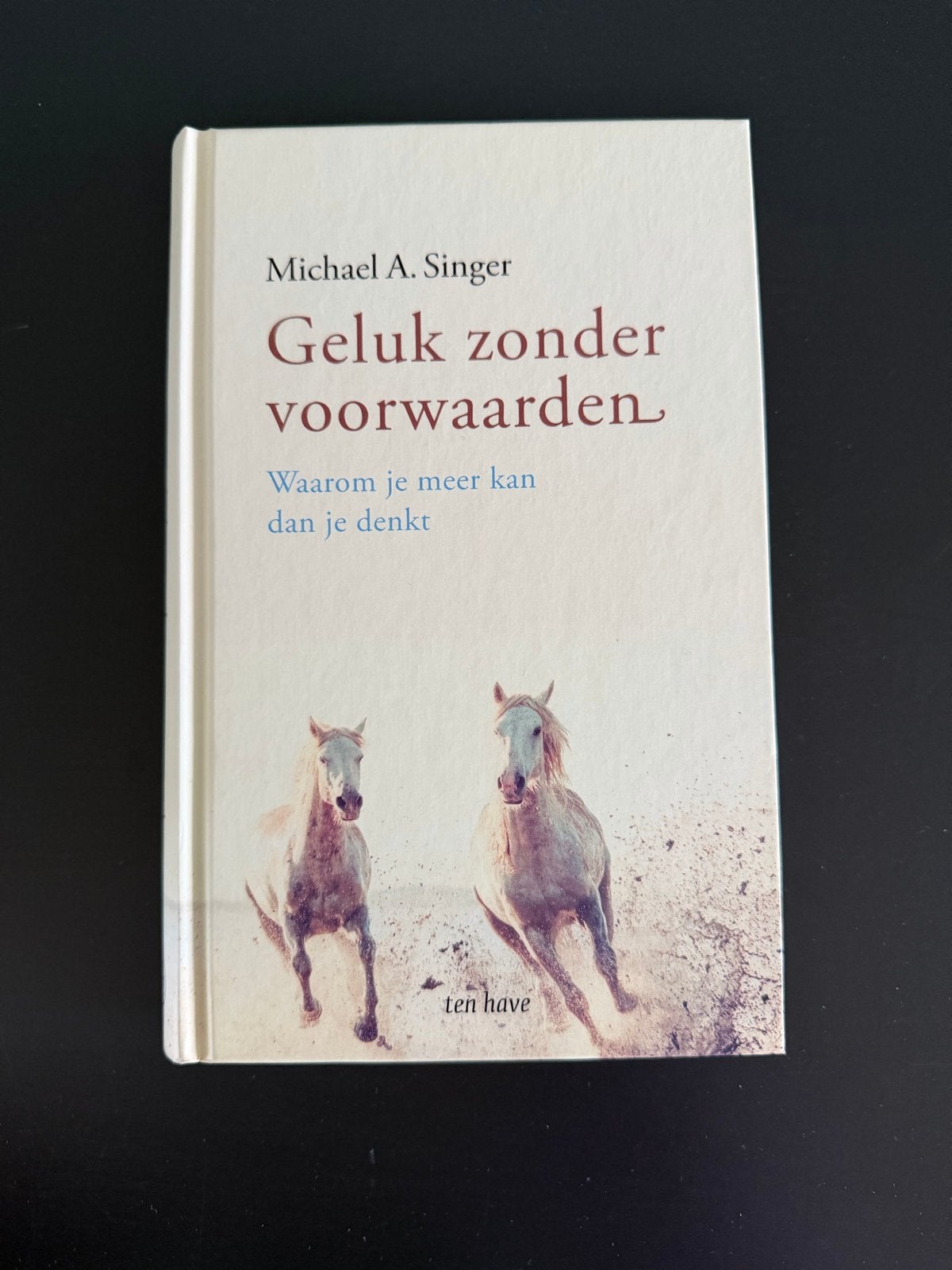 Geluk zonder voorwaarden - Michael A. Singer, Boeken, Ophalen of Verzenden, Zo goed als nieuw, Spiritualiteit algemeen, Achtergrond en Informatie