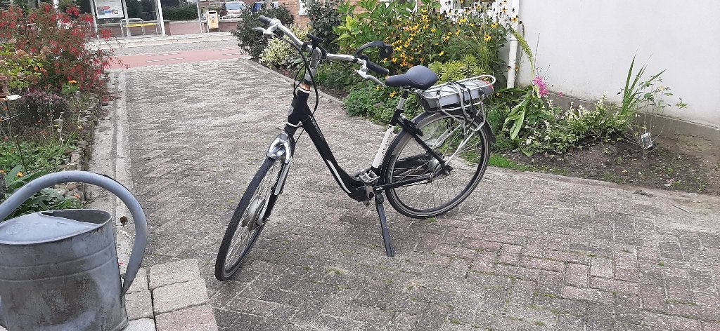 Foto 3 van Sparta ION RX elektrische fiets - 600W accu, 7 versn.