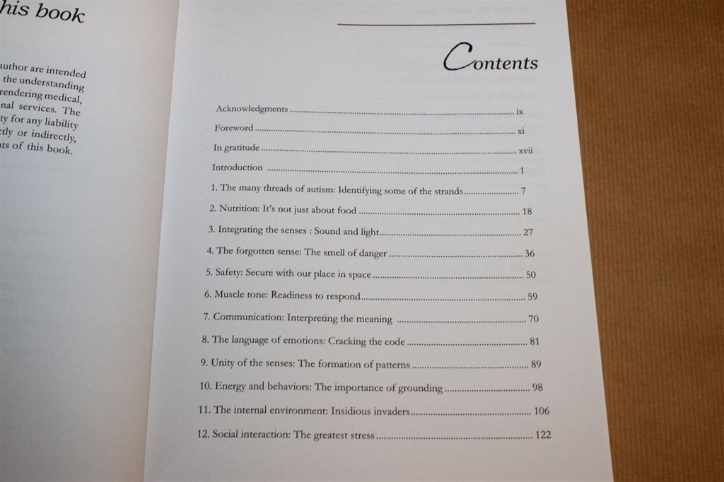 Autisme Begrijpen — Nieuwe Theorie Over Autisme [EN], Boeken, Ophalen of Verzenden, Gelezen