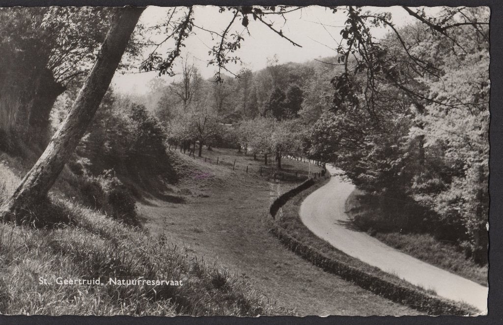 St. Geertruid, Natuurreservaat, gebruikt 1962, Ophalen of Verzenden, 1960 tot 1980, Gelopen, Limburg