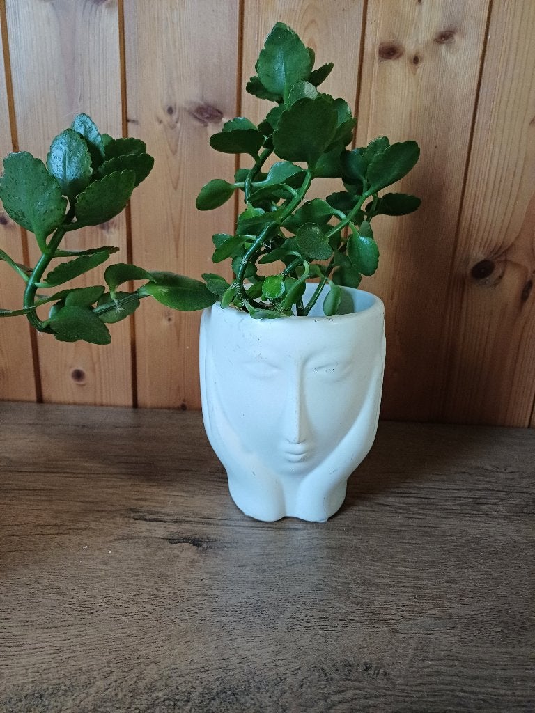 Gave witte bloempot in de vorm van een gezicht met handen, Overige materialen, ., Rond, Nieuw