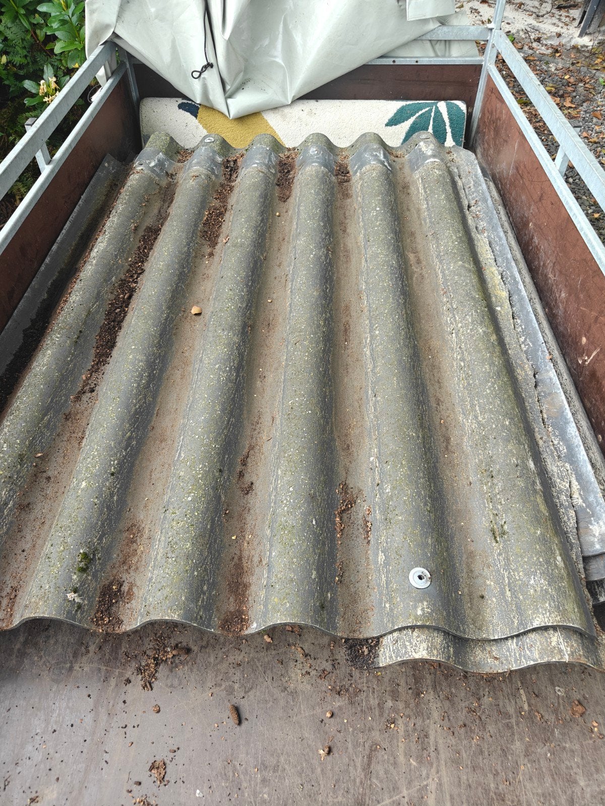 Gratis asbestvrije vezelcement golfplaten – KOMO K2394, Ophalen, Gebruikt, Zwart, 15 m² of meer