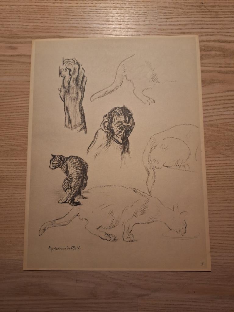 Herbert van der Poll, litho, Ophalen of Verzenden