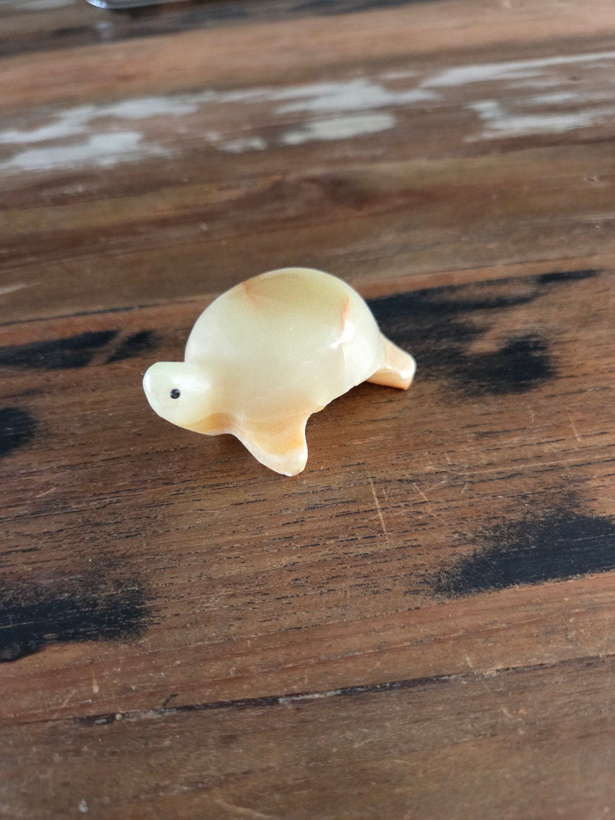 Stenen schildpad, Ophalen of Verzenden, Dier
