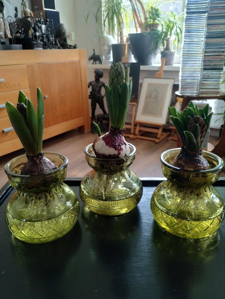 3 originele glazen Sparkling Design Hyacinth vaasjes, Ophalen of Verzenden