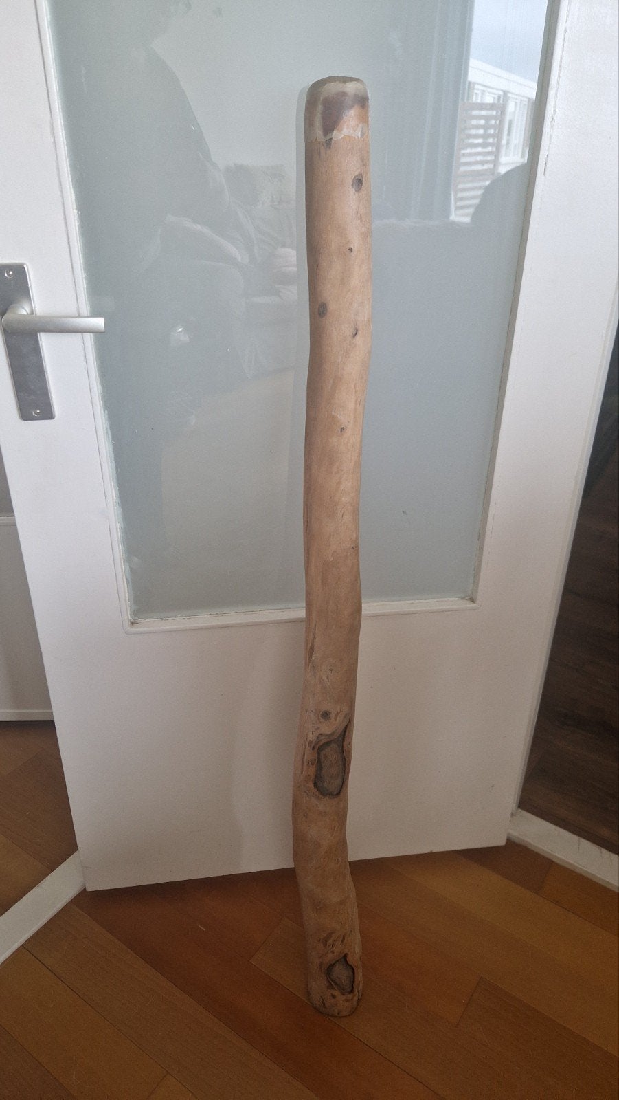 Unieke Yidaki Didgeridoo - Bloodwood Eucalyptus D-toets, Ophalen, Gebruikt