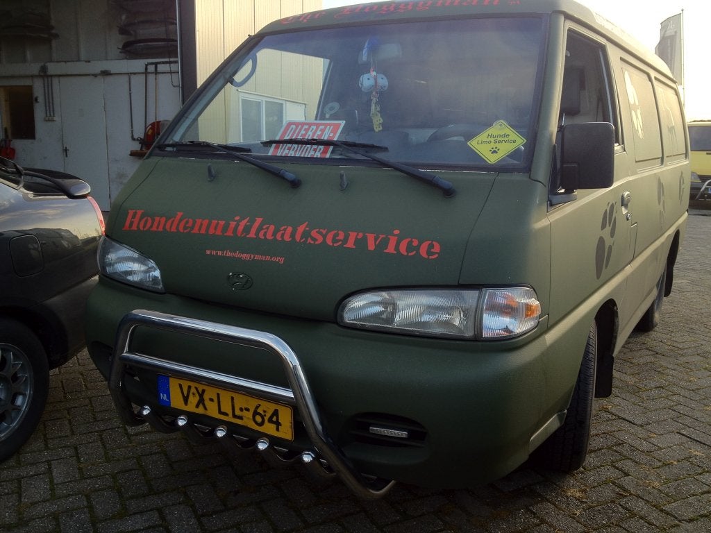 Hyundai H100 Pushbar Bullbar, Niet ingevuld, Niet ingevuld, Niet ingevuld