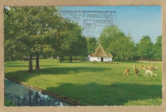 Oude ansichtkaart Hertenkamp Bergen (N.H.), Verzamelen, Ansichtkaarten | Nederland, Ophalen of Verzenden, 1940 tot 1960, Gelopen