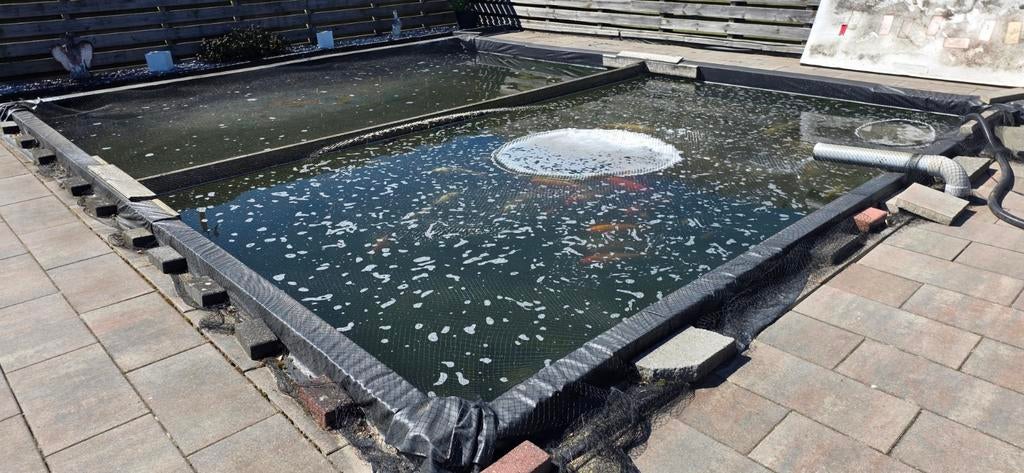 Complete Koivijver met 40+ Koi Karpers en toebehoren, Tuin en Terras, Vijvers, Ophalen, Gebruikt