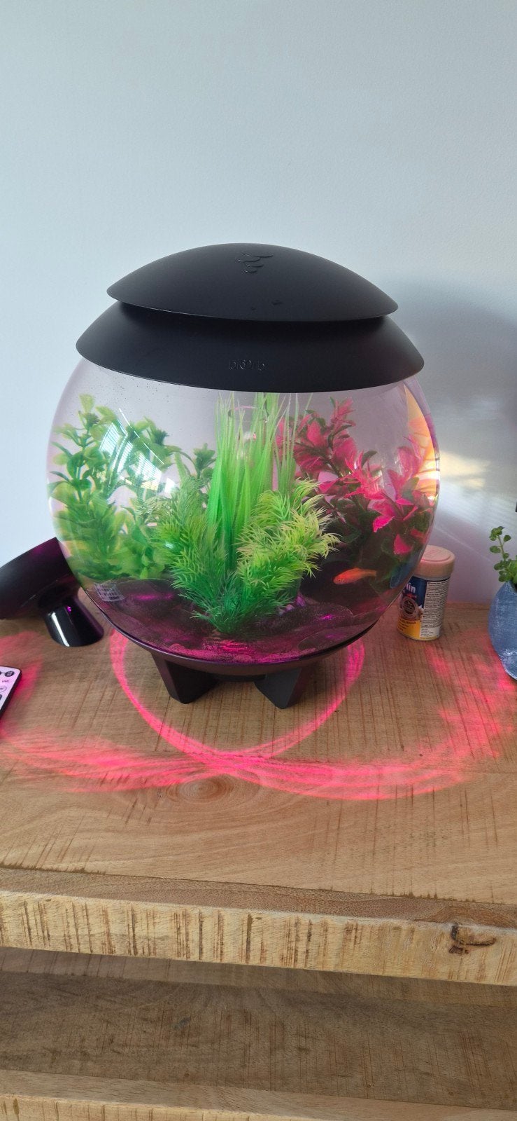 BiOrb aquarium Halo 15 liter, Ophalen, Gebruikt, Leeg aquarium