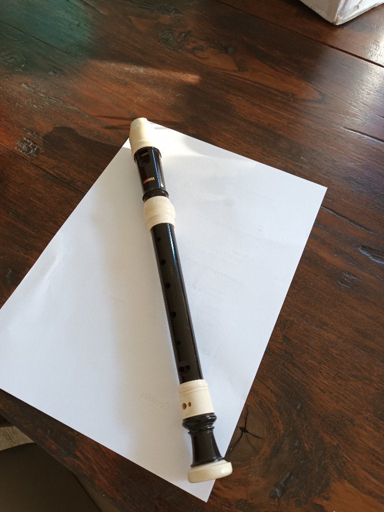 Te koop Yamaha Blokfluit, Ophalen of Verzenden, Zo goed als nieuw, Sopraan of Sopranino, Met koffer, hoes of etui