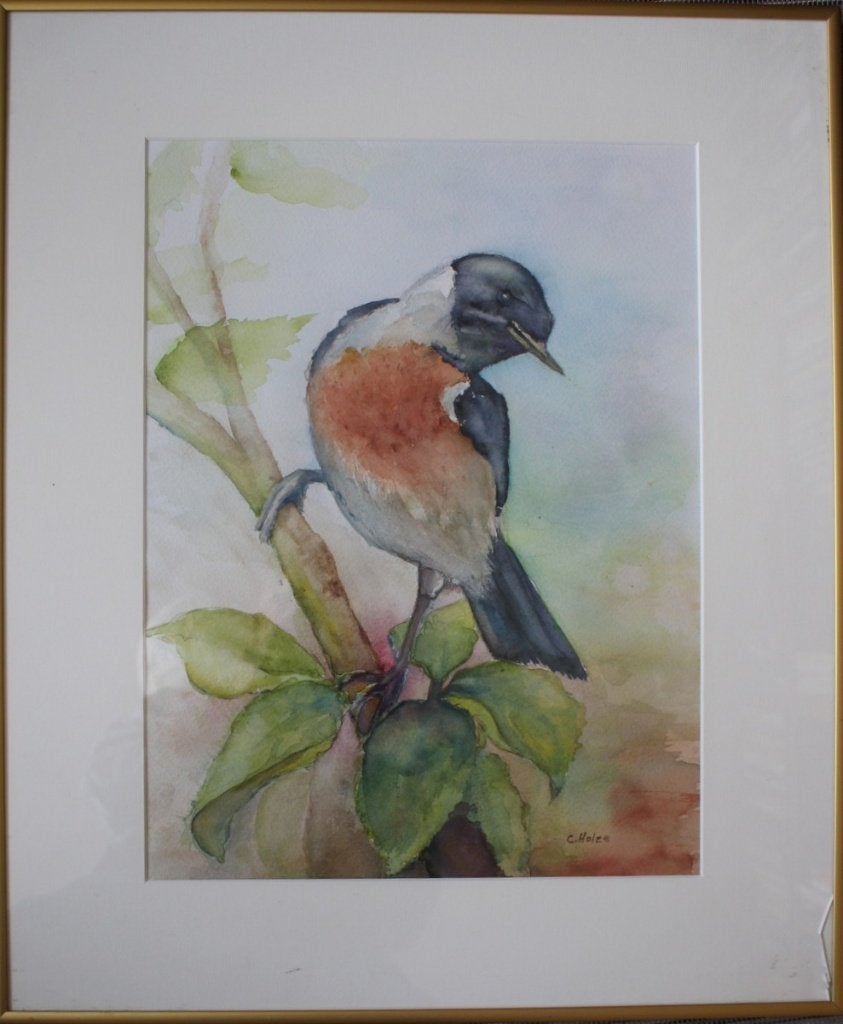 Christian Holze, fraaie aquarel van een vogel., Realistisch, Dieren, Aquarel, Papier