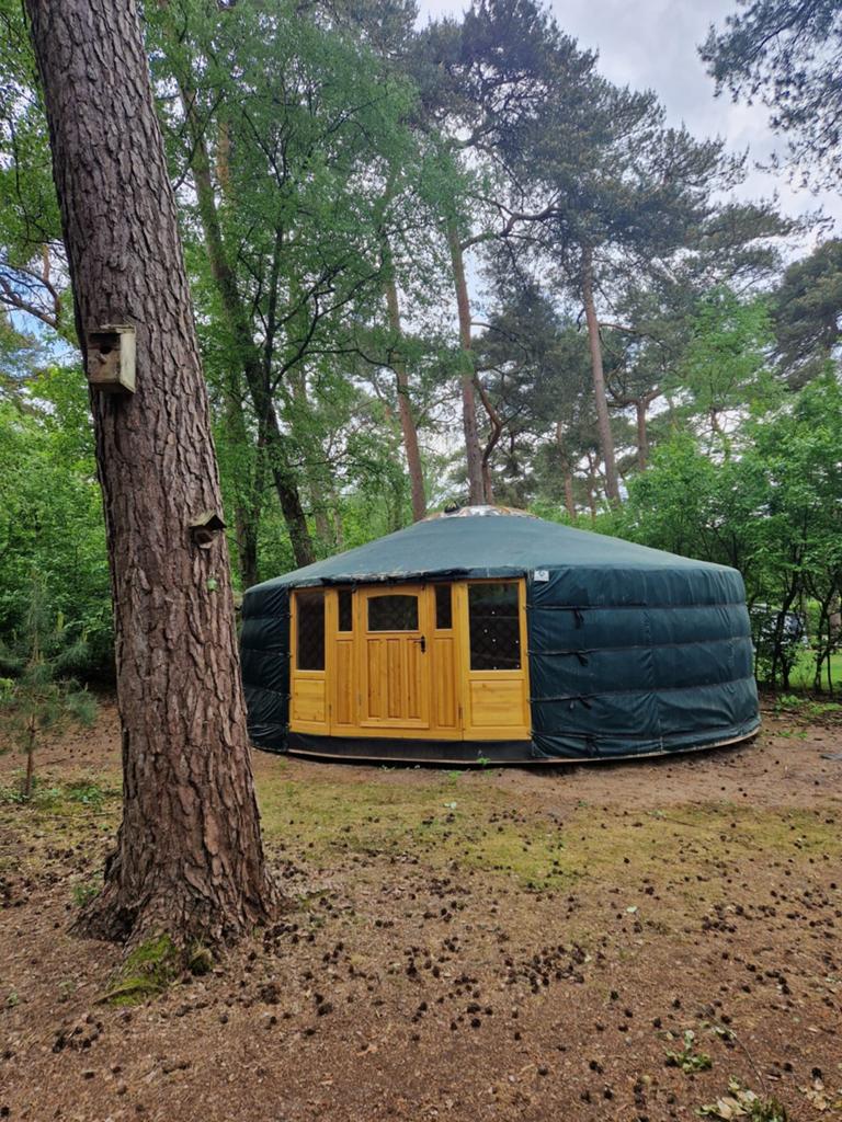 Te koop. Nieuwe Yurt met een (huur) jaarplaats, Caravans en Kamperen, Ophalen
