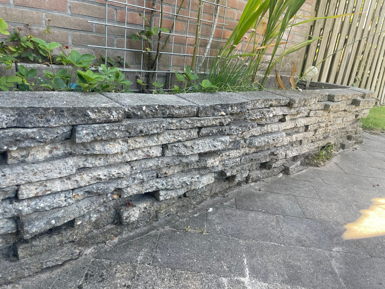 Gratis border halve stoeptegels, Ophalen, Zo goed als nieuw, Minder dan 100 cm, 25 tot 50 cm