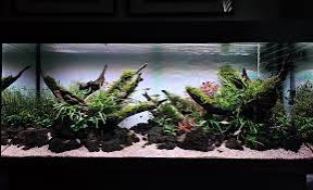 Juwel Rio 240+Helialux+SmartControl,1 jaar+bon,nieuw€1000, Dieren en Toebehoren, Ophalen, Zo goed als nieuw, Leeg aquarium