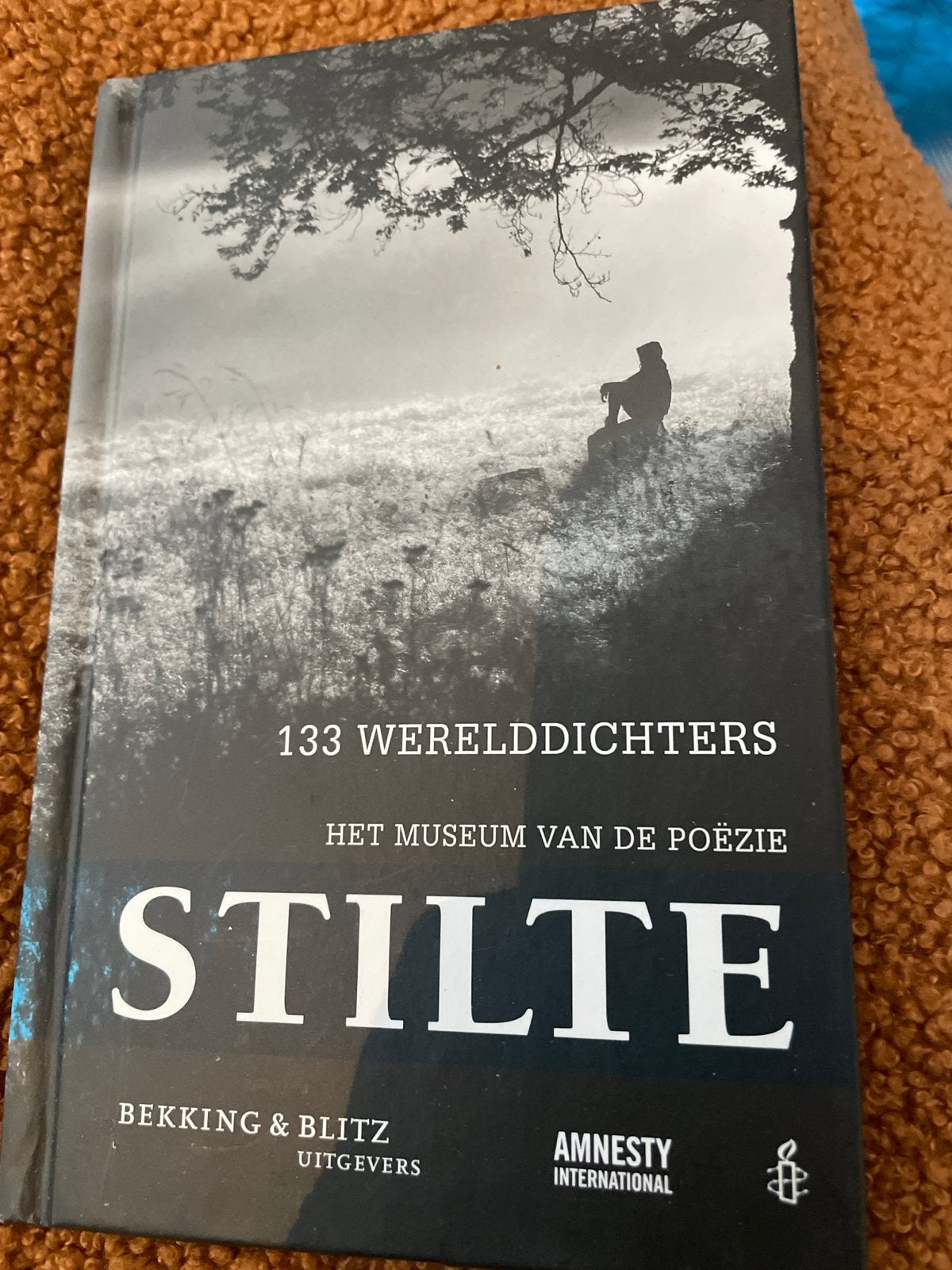 Stilte: 133 Werelddichters - Het Museum van de Poëzie, Ophalen of Verzenden, Zo goed als nieuw, Meerdere auteurs
