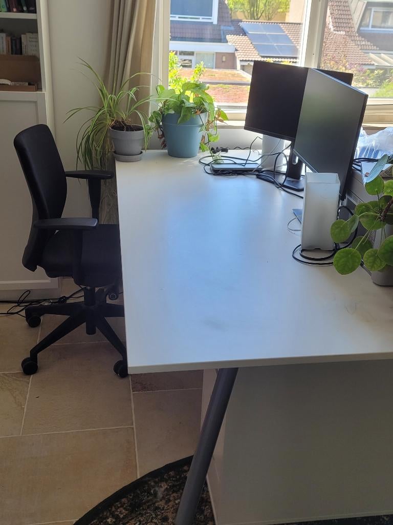 Bureau 195x110 cm in hoogte verstelbaar, Ophalen, Gebruikt, Wit, In hoogte verstelbaar
