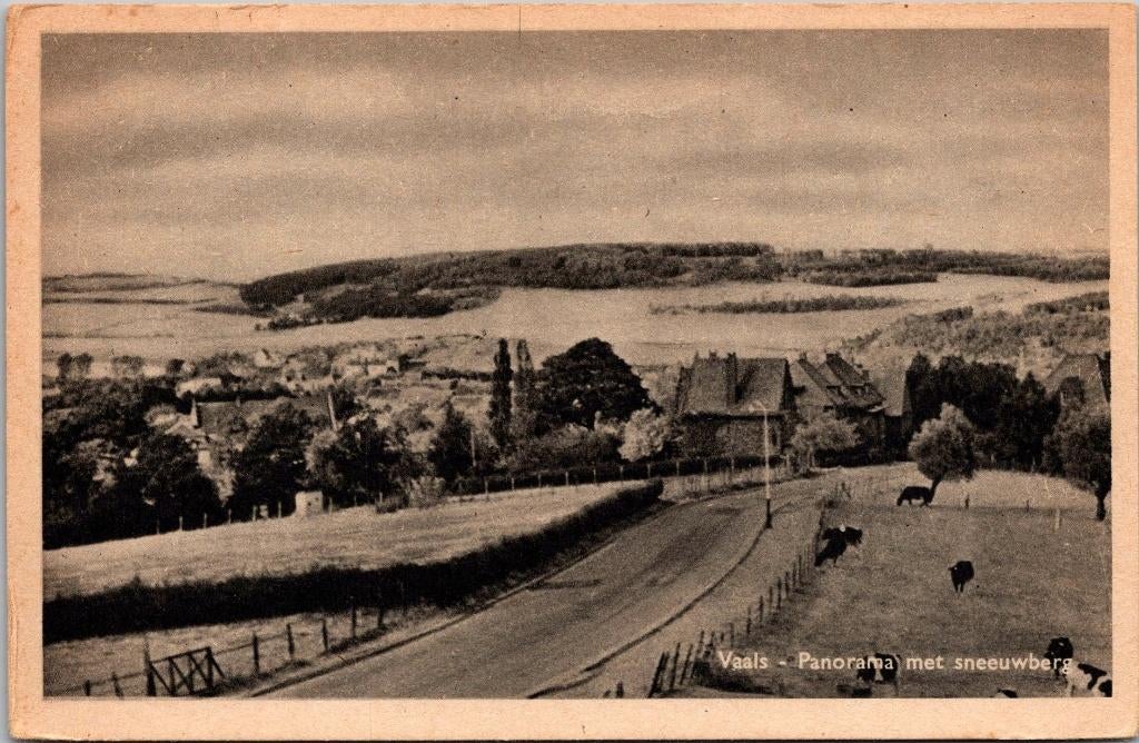 Vaals - Panorama met Sneeuwberg, Verzenden, 1940 tot 1960, Ongelopen, Limburg