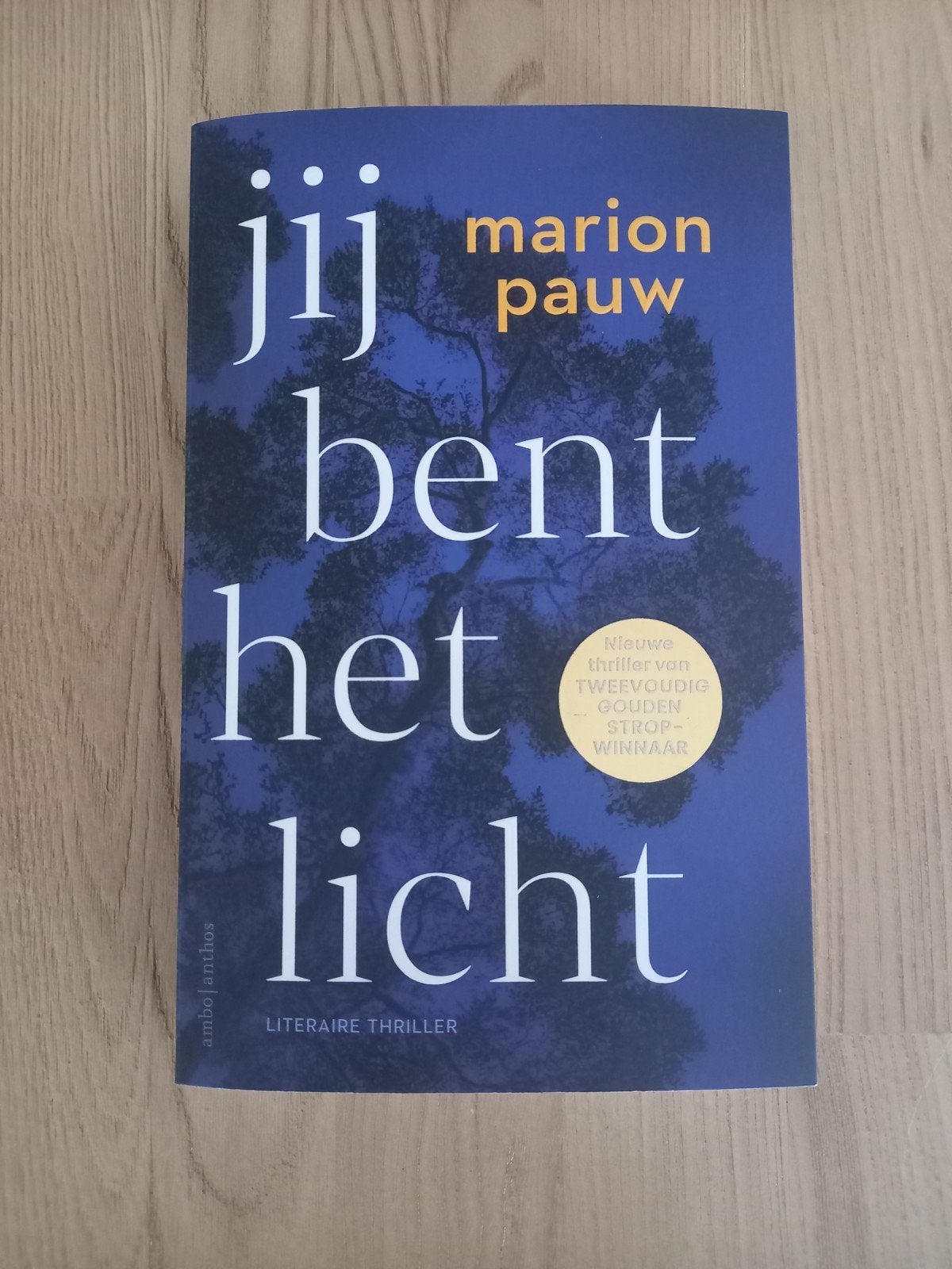 Thriller Marion Pauw - Jij bent het licht, Boeken, Ophalen, Zo goed als nieuw, Marion Pauw