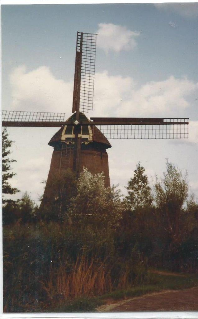 D-124  Molen Foto  Rustenburg-Foto, Verzamelen, Verzenden, 1980 tot heden, Ongelopen, Noord-Holland