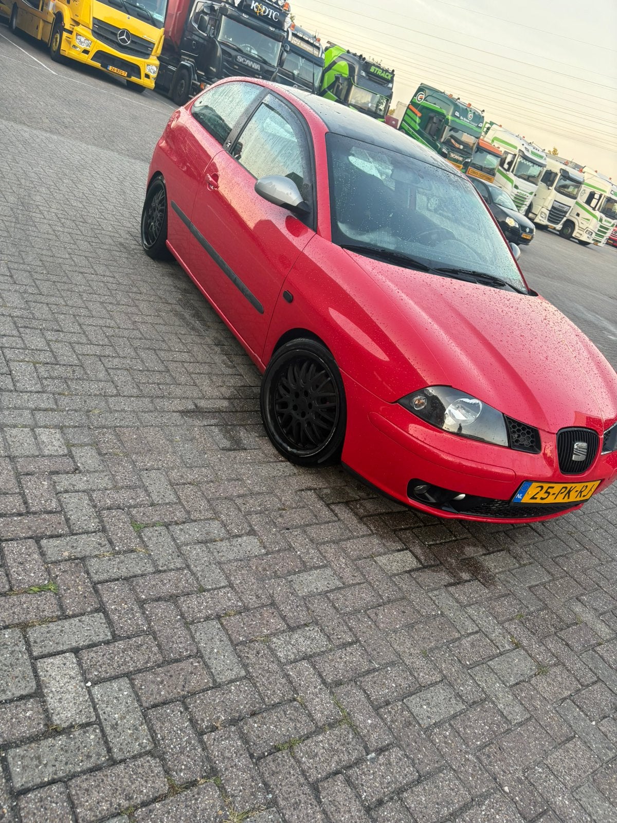 Seat Ibiza 1.8 20VT 110KW 3DRS 2004 Rood, Ophalen, Gebruikt, Seat
