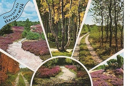 Ansichtkaart 	Harderwijk	6-luik	Heide, Verzenden, 1940 tot 1960, Gelopen, Gelderland