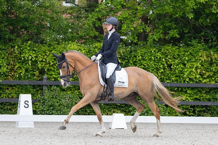 Prachtige Z2 dressuurpony, Dieren en Toebehoren, Merrie, ZZ, Met stamboom, Dressuurpony