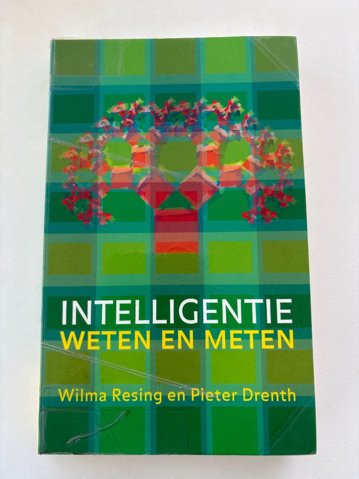 Intelligentie Weten en Meten - Wilma Resing & Pieter Drenth, Ophalen of Verzenden, Gelezen, Overige onderwerpen