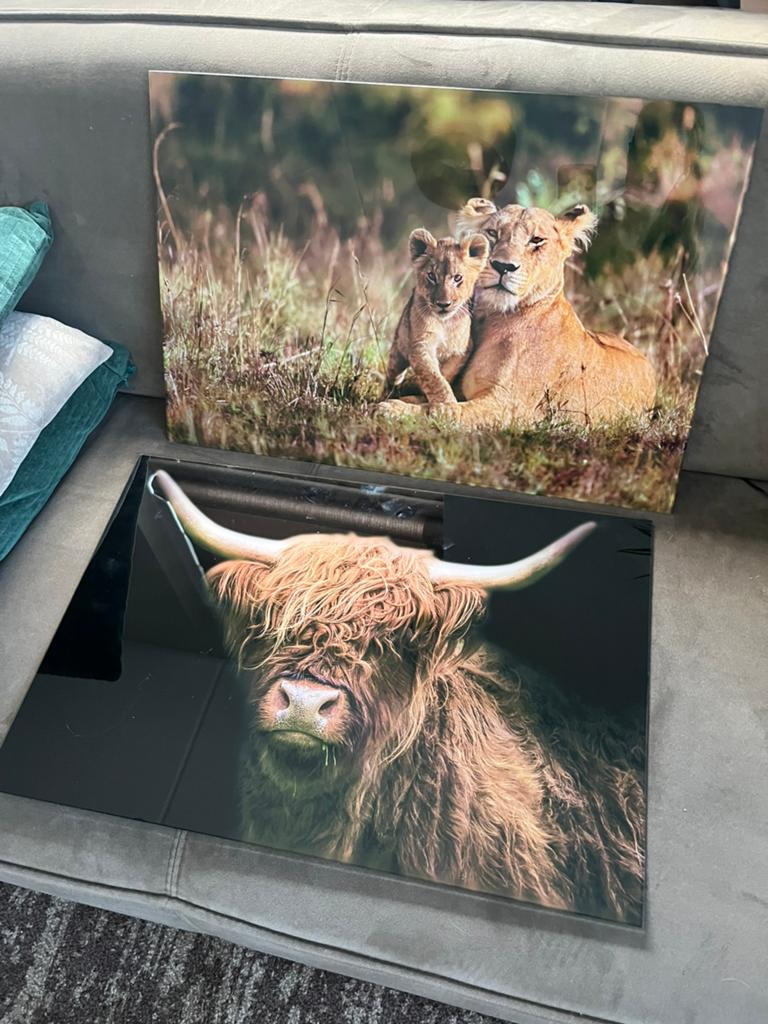schilderij dier, Ophalen, Zo goed als nieuw, Schilderij, Minder dan 50 cm