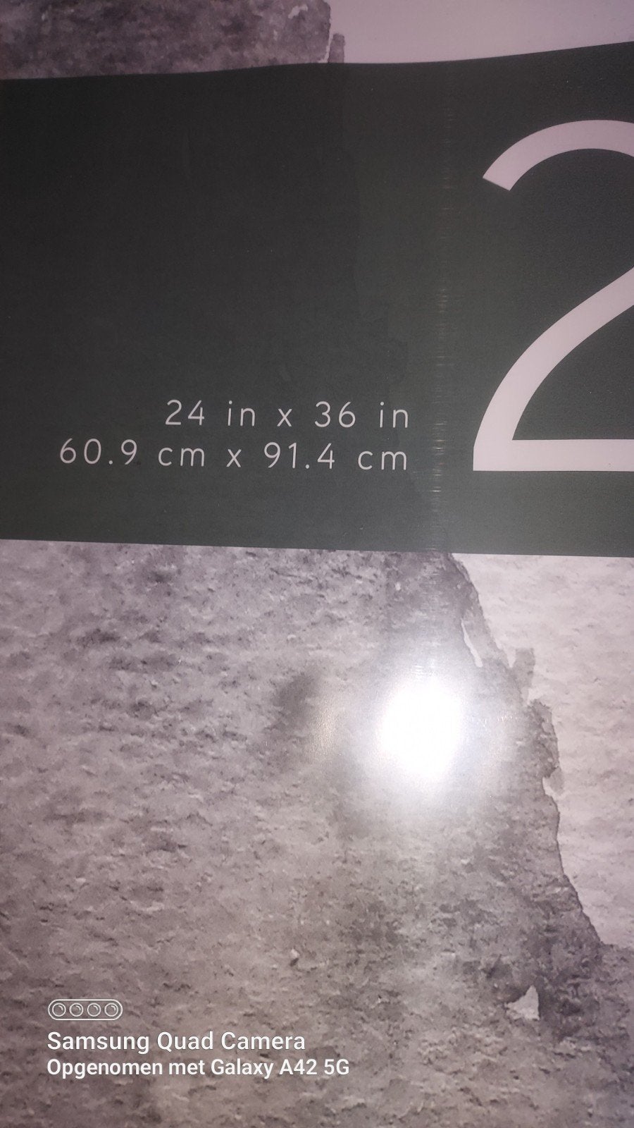 Museum Posterlijst 61x91.4 cm - Eikenhoutnerf, Ophalen, Bruin, Kunststof, Nieuw