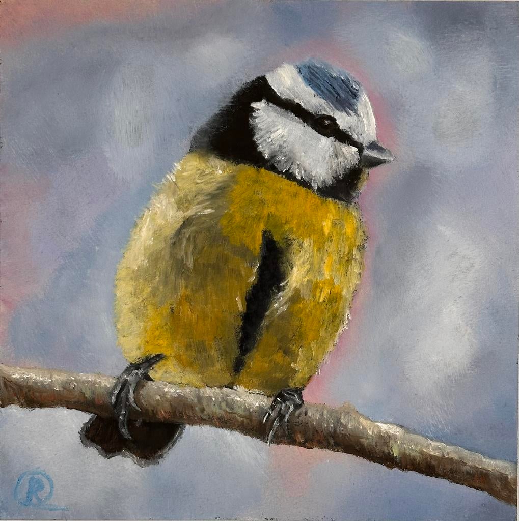 Pimpelmeesje vogel, Ophalen of Verzenden