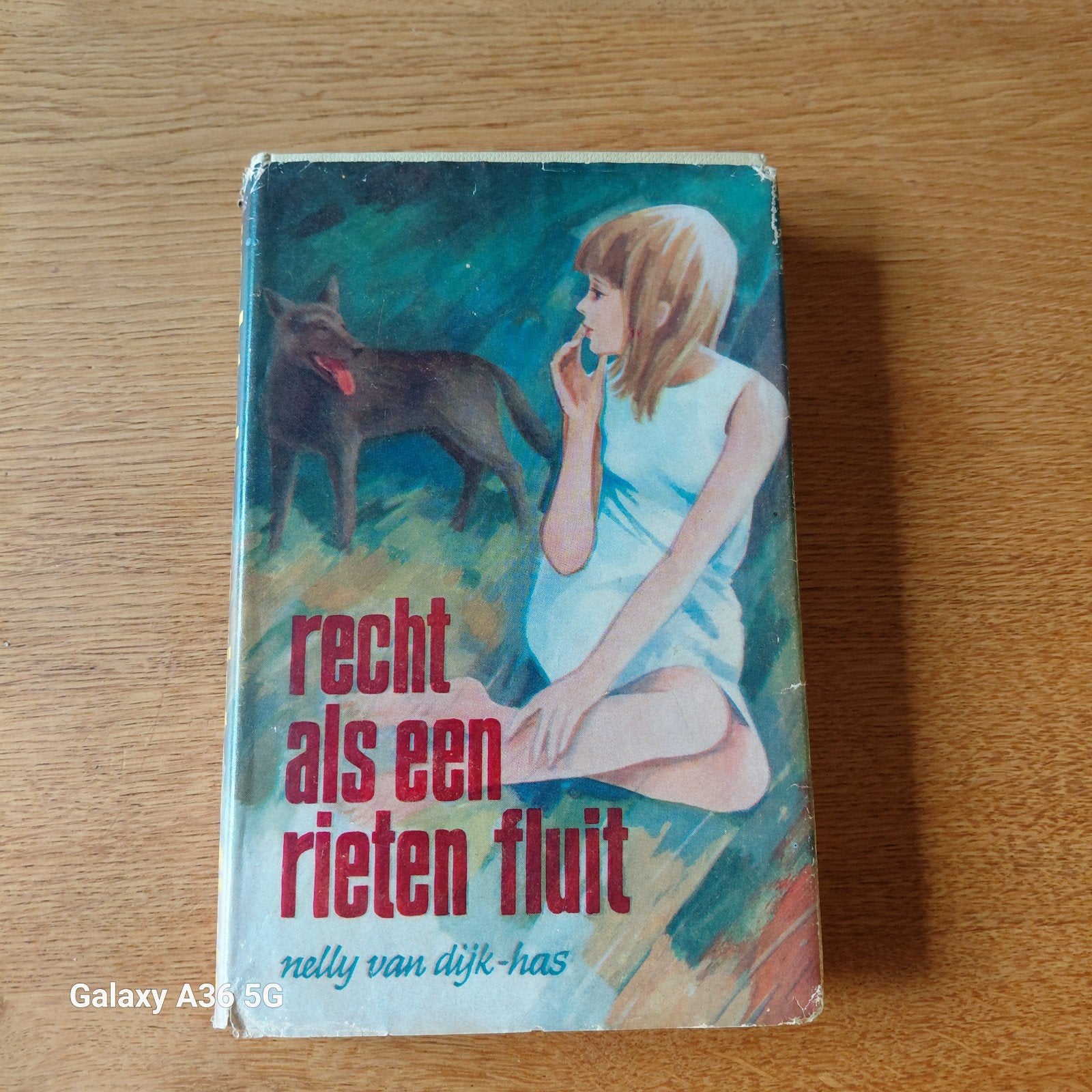 Recht als een rieten fluit - Nelly van Dijk-Has, Boeken, Ophalen of Verzenden, Gelezen, Nelly van Dijk-Has, Nederland