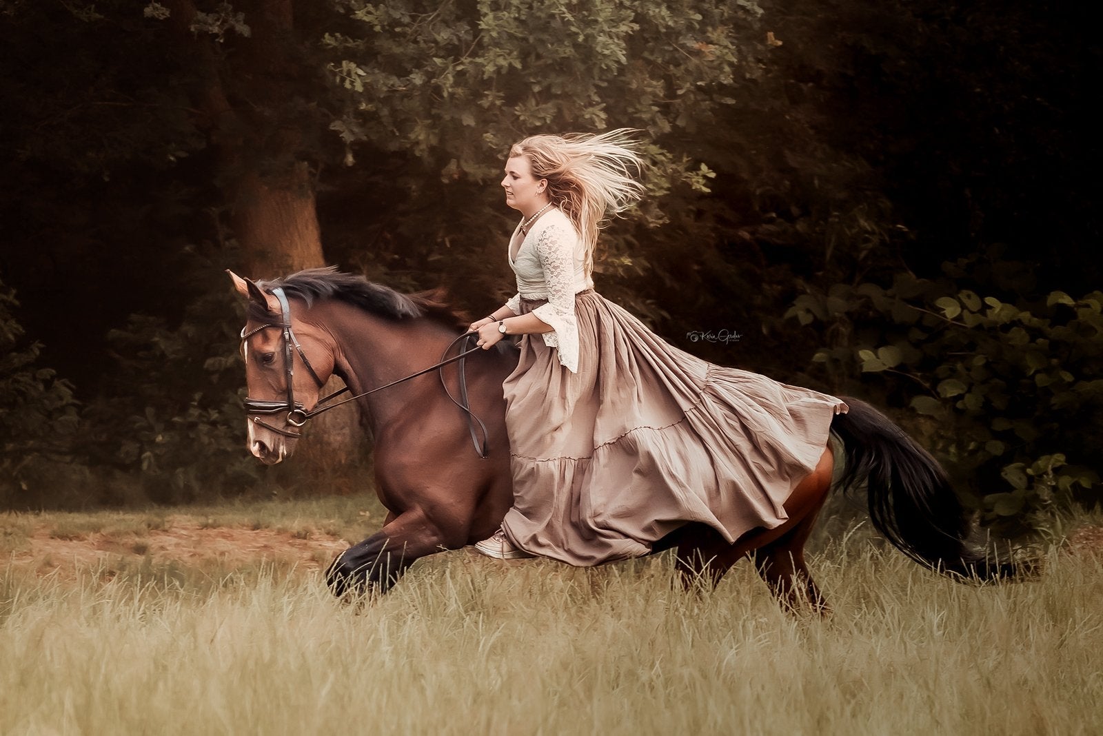 Knappe zangerheide fokmerrie/springpaard (en hengst veulen), Merrie, Springpaard, 7 tot 10 jaar, 160 tot 165 cm